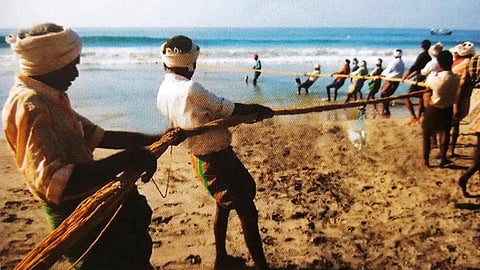 मत्स्य पालन