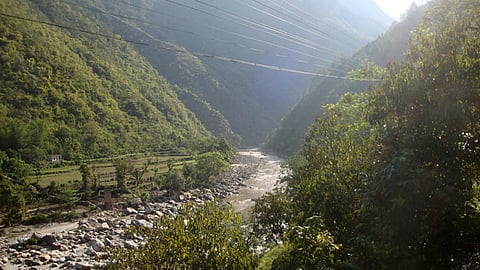 हरियाली जरूरी है