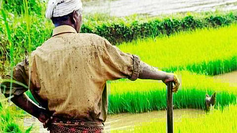 सोर्स - दैनिक जागरण