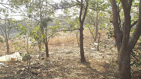 भारत में हर जगह कचरे का ढेर दिख जाता है