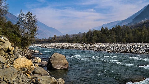 खतरे में ब्यास नदी की जैव विविधता