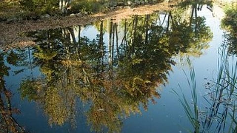 पानी की गुणवत्ता एवं जन स्वास्थ्य