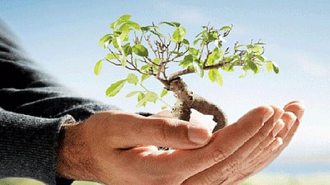 पर्यावरण के मुद्दे (Environmental Issues)