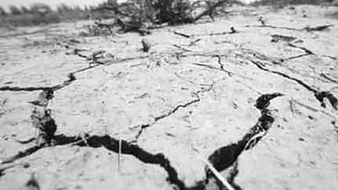 पलायन से बंजर हुई पहाड़ी खेती