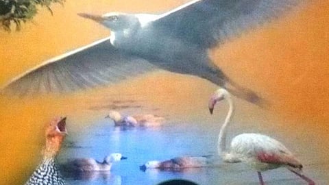 पुस्तक, नासिक जनपद के पक्षी : एक संरक्षण निर्देशिका