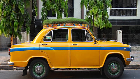 हरियाली का सन्देश दे रही है सबुज रथ