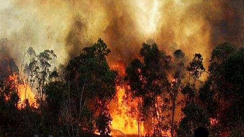 लापरवाही के कारण उत्तराखण्ड के जंगलों में लगती आग