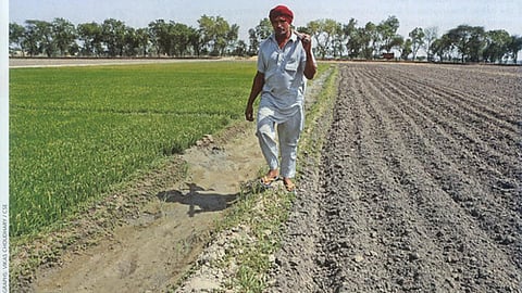 जेथुका गाँव के भीम सिंह