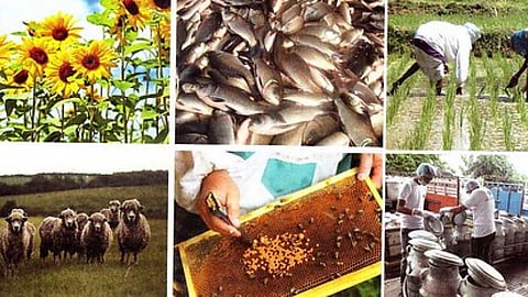 कृषकों की आमदनी में सहायक स्रोत