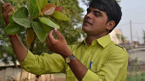 ट्रीमैन