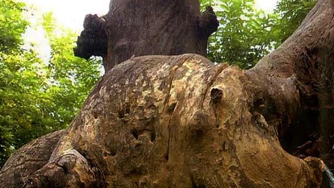 Achhe vicharon ka akal