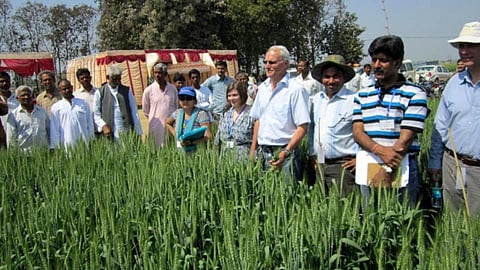 रिसर्च टीम