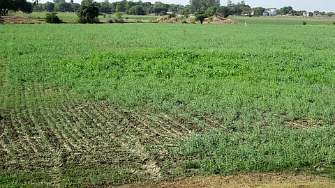 बुन्देलखण्ड : तालाबों से  लिखी जा रही नई इबारत