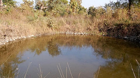 पानी से हरा-भार हुआ बालौदा लक्खा गाँव