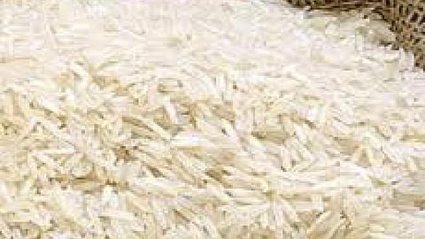 कीटनाशकों के बिना खेती