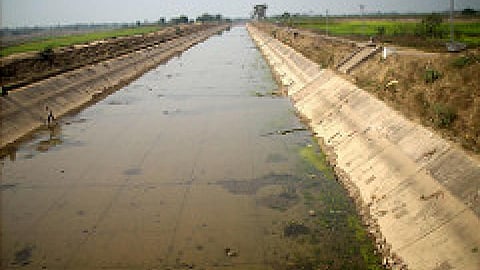 सूख गया अदवा बन्धा, पानी के लिये हाहाकार