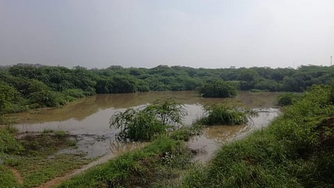 डिस्ट्रिक्ट पार्क तालाब सेक्टर 23 द्वारका दिल्ली