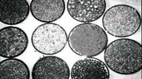 परंपरागत बीजों का भंडारण