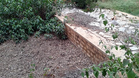 खेती पर पड़ रही है प्रकृति व व्यवस्था की दोहरी मार