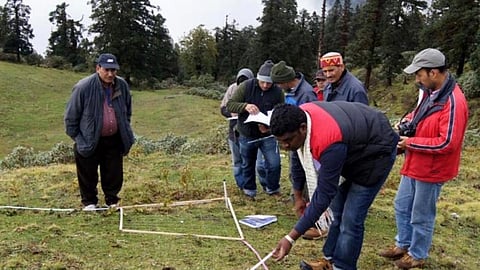स्थायी निगरानी प्लॉट स्थापित करते हुए शोधकर्ताओं की टीम