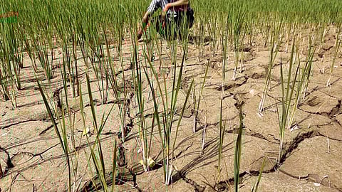 भारतीय पथ : अतिभोग नहीं, सदुपयोग से बचेगा जीवन