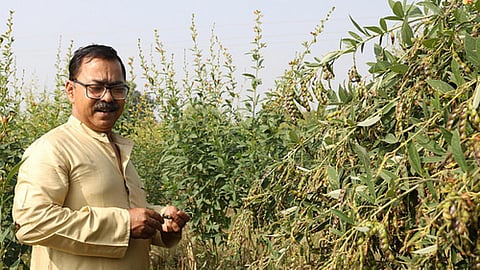 डॉ. आशुतोष अग्निहोत्री