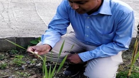 डॉ. वेंकट कृष्णन, आईआईटी, मंडी