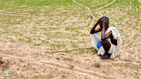 सूखे की चपेट में आधा देश