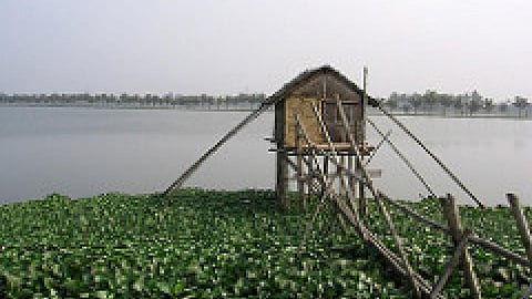 ईस्ट कोलकाता वेटलैंड