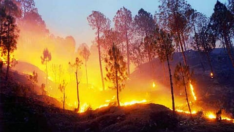 उत्तराखण्ड के जंगलों में लगने वाली आग प्रशासन के लिये बनी चुनौती