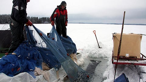 Fishermen