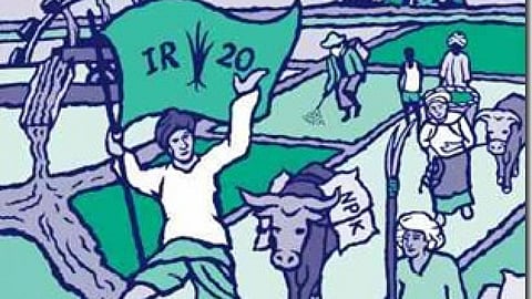 नासमझी में परम्परागत कृषि को नष्ट कर रही है सरकार