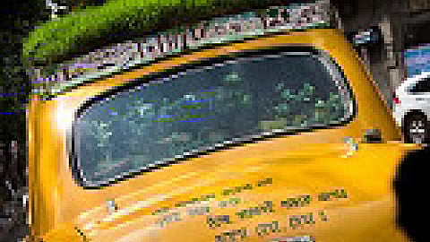 हरित आच्छादन कार्यक्रम के नये आयाम