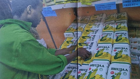 Image source Down to Earth Magazine