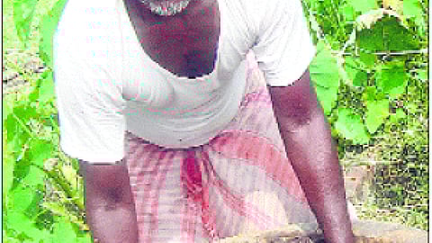 जैविक खेती से मुनाफा ही मुनाफा