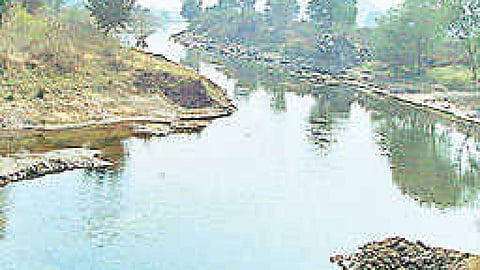 मेवात में जोहड़