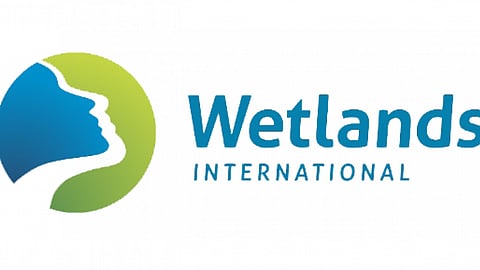 वेटलैंड्स इंटरनेशनल लोगो