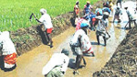 क्या मन में है मनरेगा