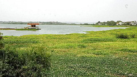 हुसैन सागर झील