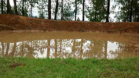 Nag village pond