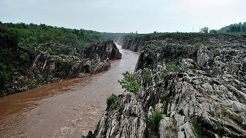 नर्मदा की परकम्मा