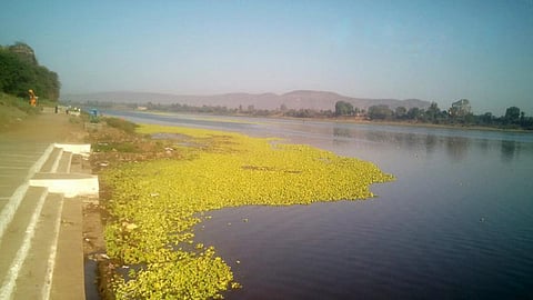 Narmada