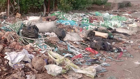 बढ़ता प्लास्टिक