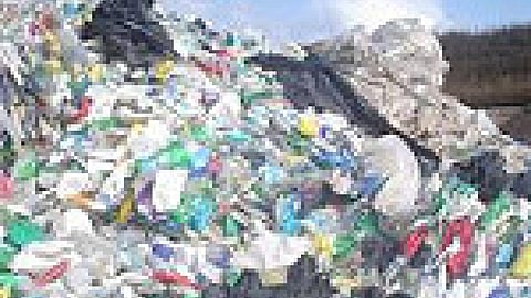 प्लास्टिक की थैली