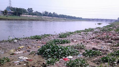 Polluted river