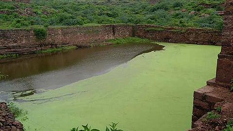 कहाँ गुम होते जा रहे हैं ये तालाब