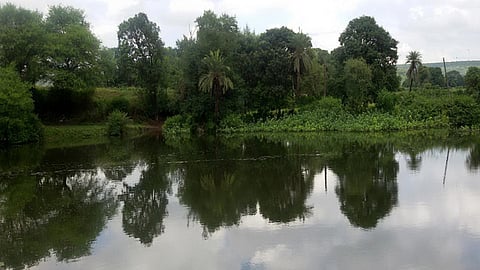 Pond