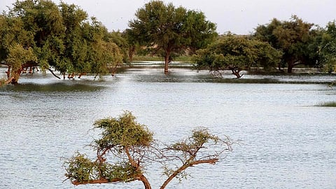 अवसर देती जल अपील और प्रतिक्रियाएँ