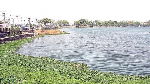 Raipur pond