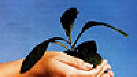 ग्रामीण विकास